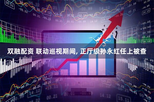 双融配资 联动巡视期间, 正厅级孙永红任上被查