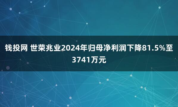 钱投网 世荣兆业2024年归母净利润下降81.5%至3741万元