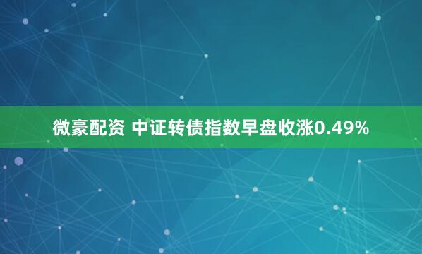 微豪配资 中证转债指数早盘收涨0.49%
