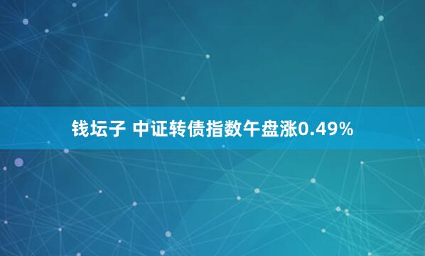 钱坛子 中证转债指数午盘涨0.49%