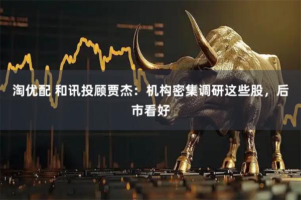 淘优配 和讯投顾贾杰：机构密集调研这些股，后市看好