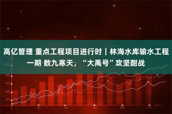 高亿管理 重点工程项目进行时｜林海水库输水工程一期 数九寒天，“大禹号”攻坚酣战